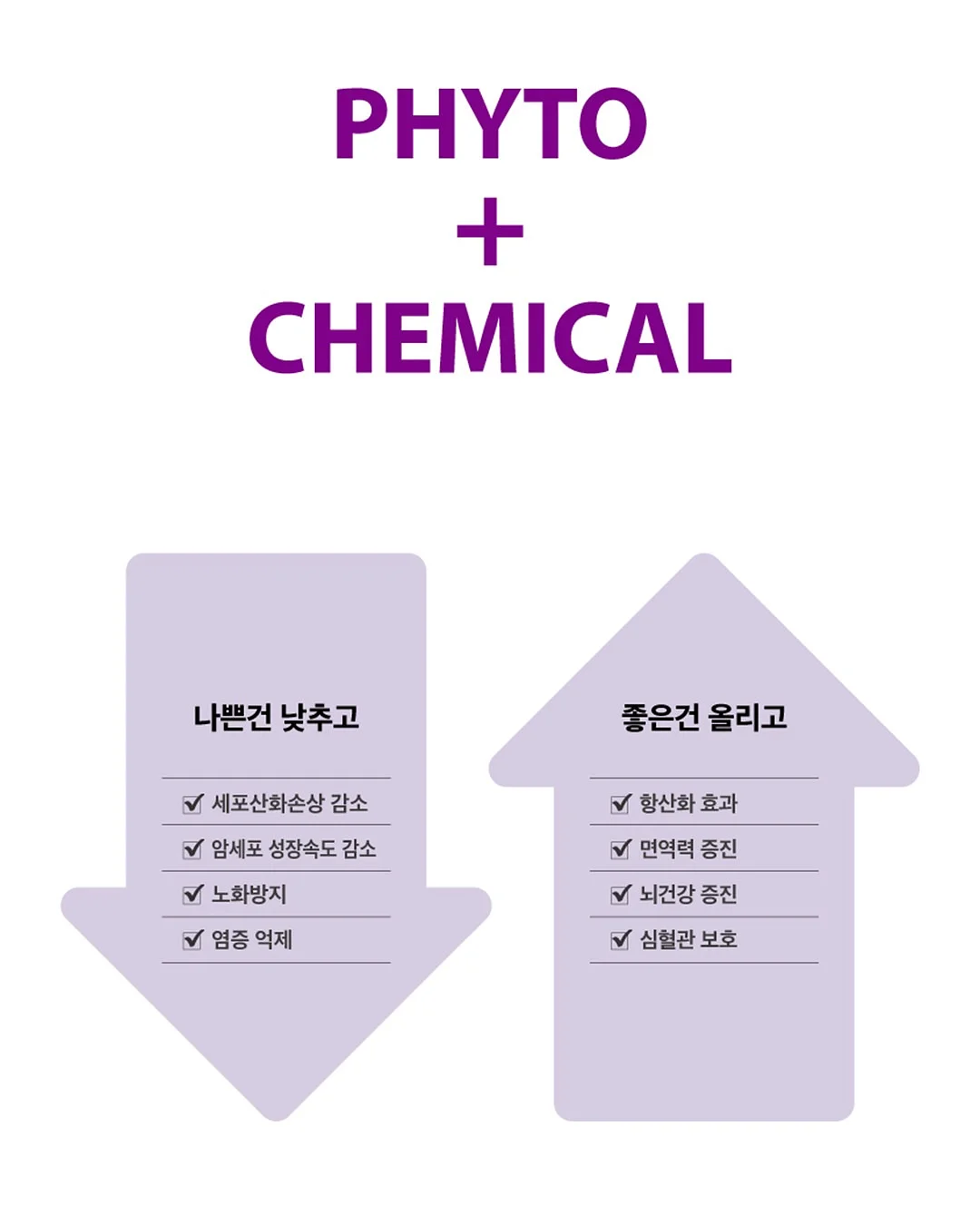 알레피아 블랙솝+케사 장갑 세트 13