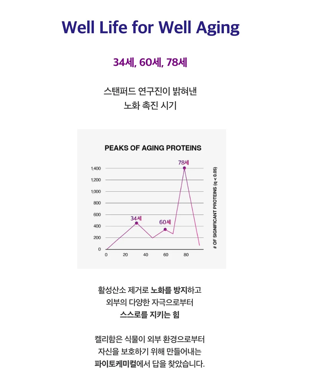 알레피아 블랙솝+케사 장갑 세트 14
