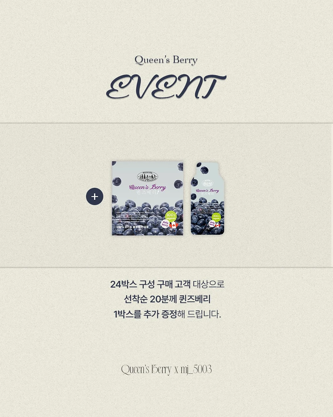 알레피아 블랙솝+케사 장갑 세트 3