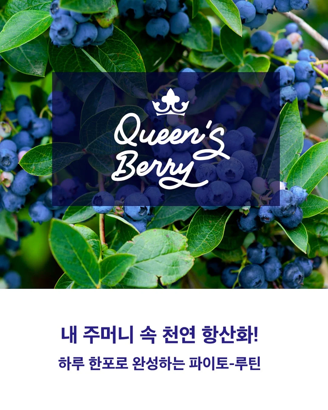 알레피아 블랙솝+케사 장갑 세트 5
