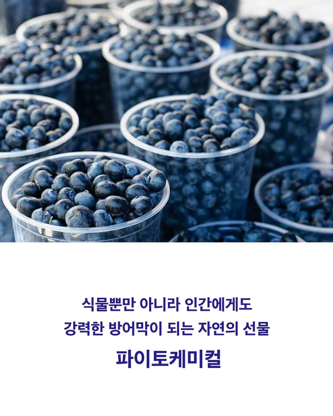 알레피아 블랙솝+케사 장갑 세트 6