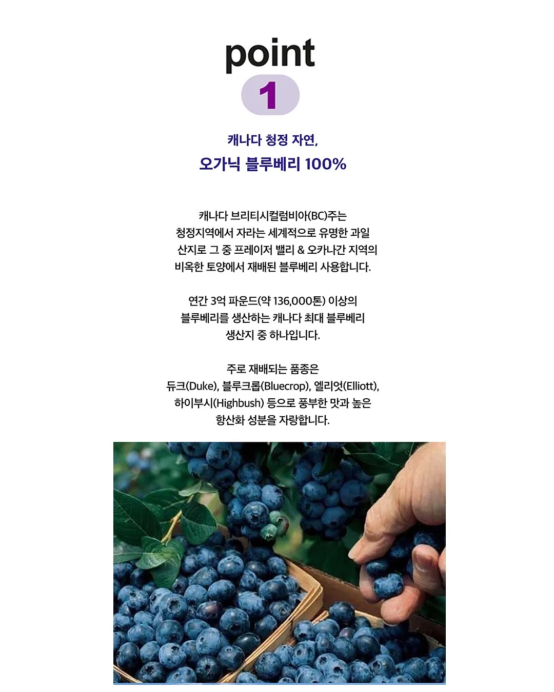 알레피아 블랙솝+케사 장갑 세트 8