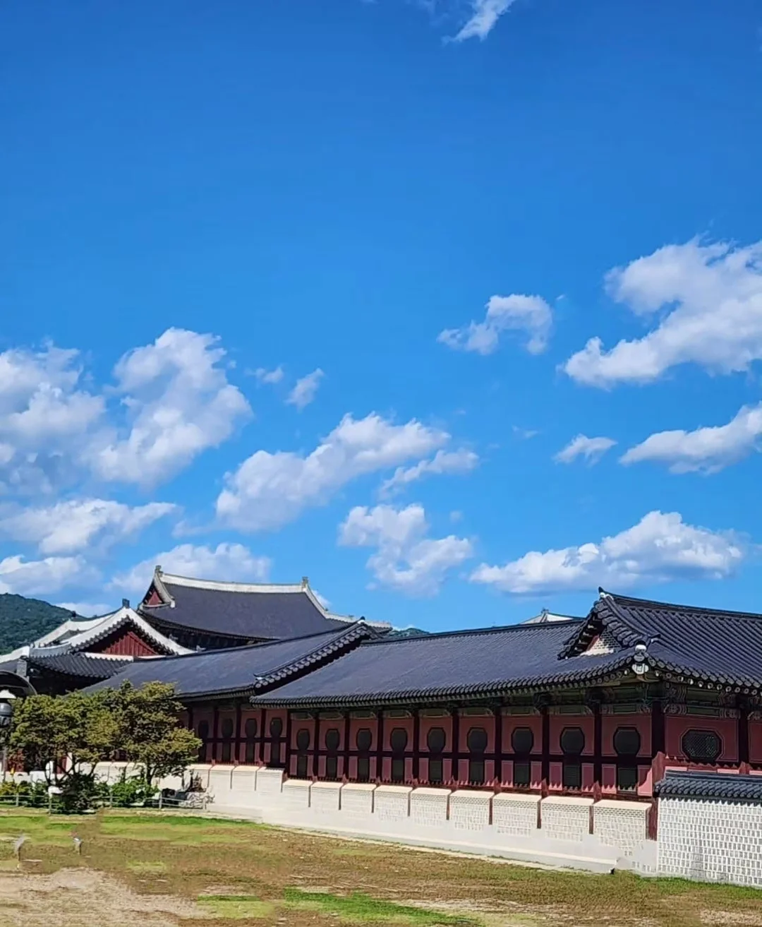 본빠옹 블라우스 20