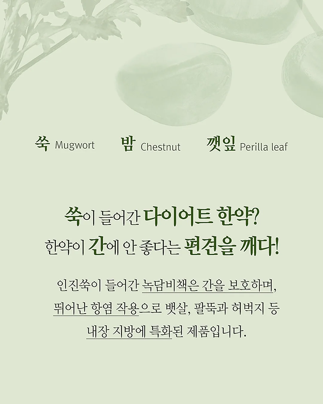 씨 없는 고당도 수박 4