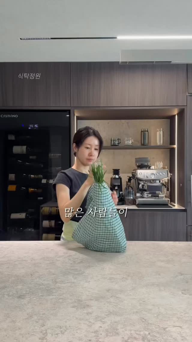 크레모아 클립팬