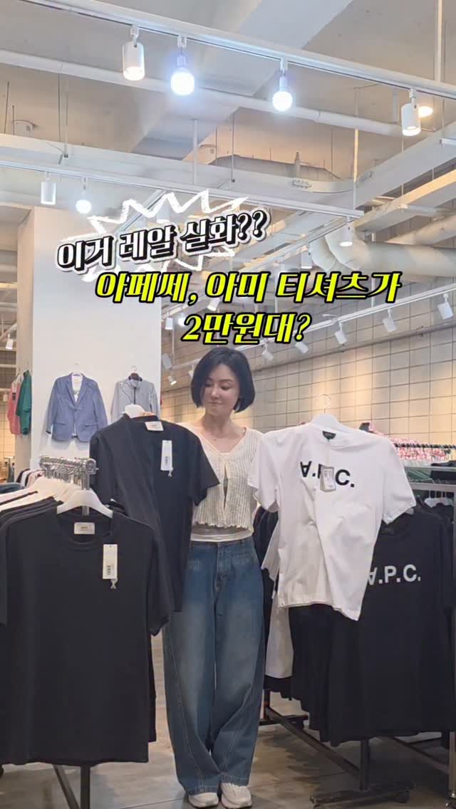 감귤씨