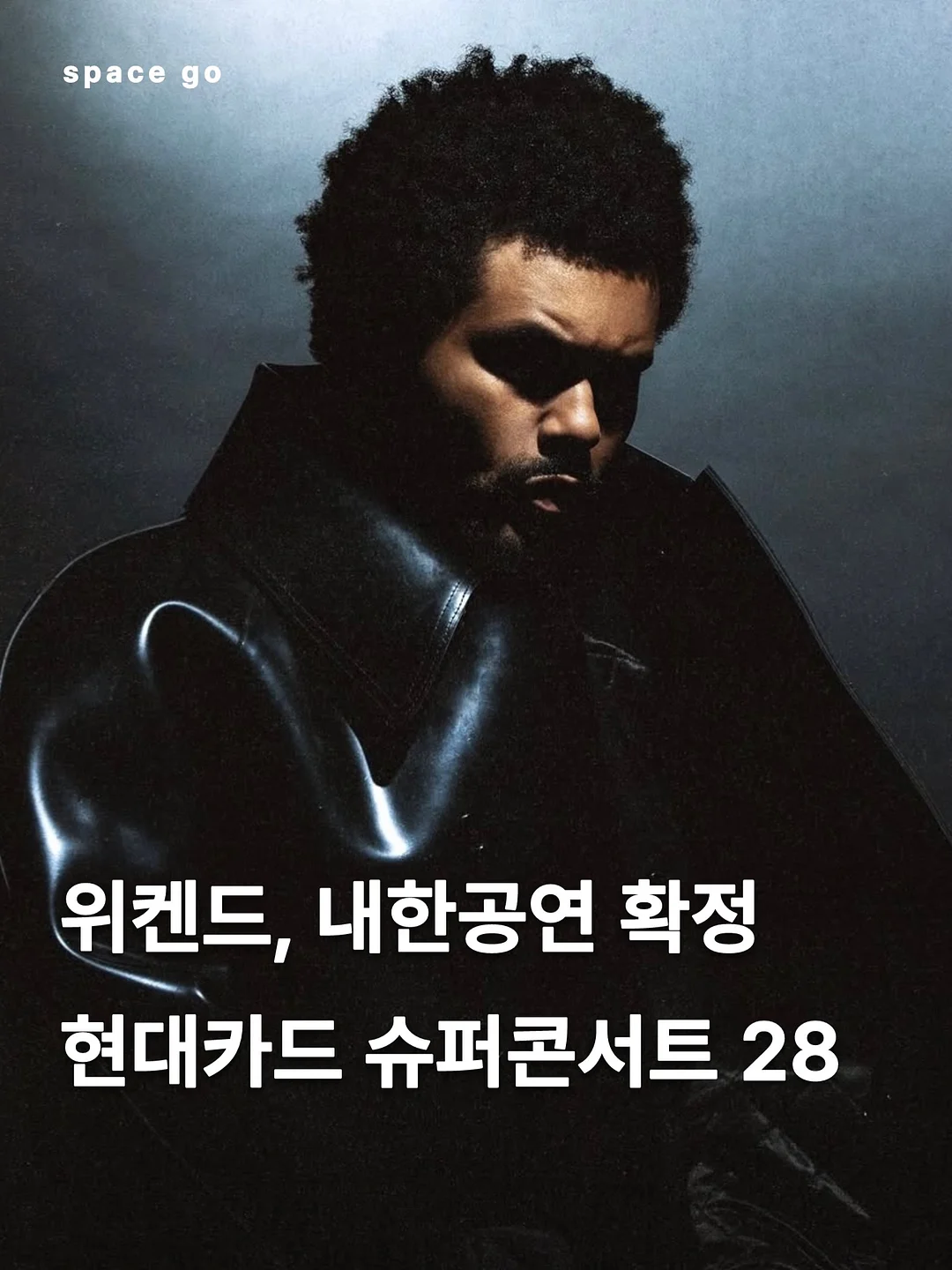 RICO 에센셜코튼글리츠 1