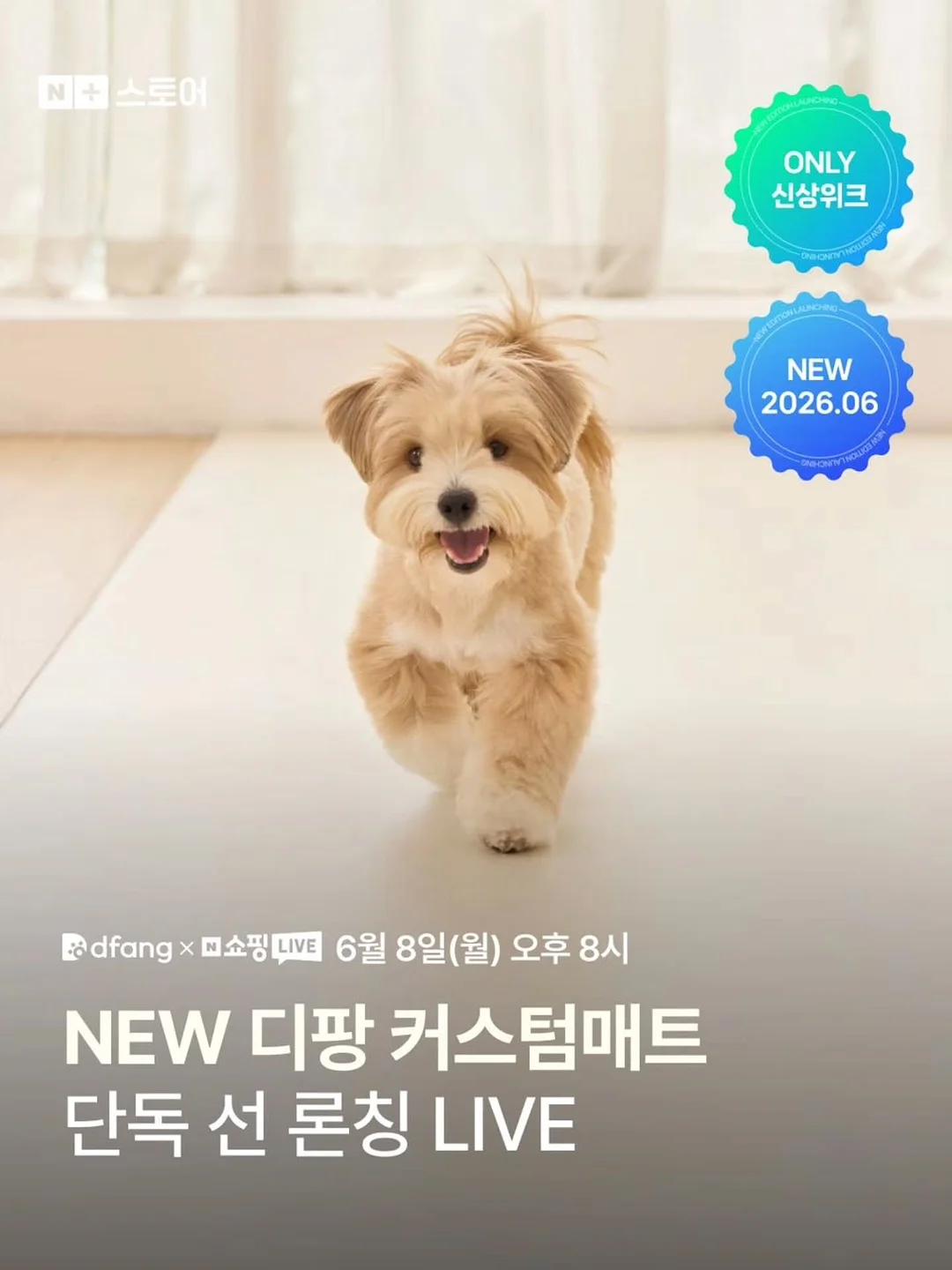 고실이프릴팬츠 2