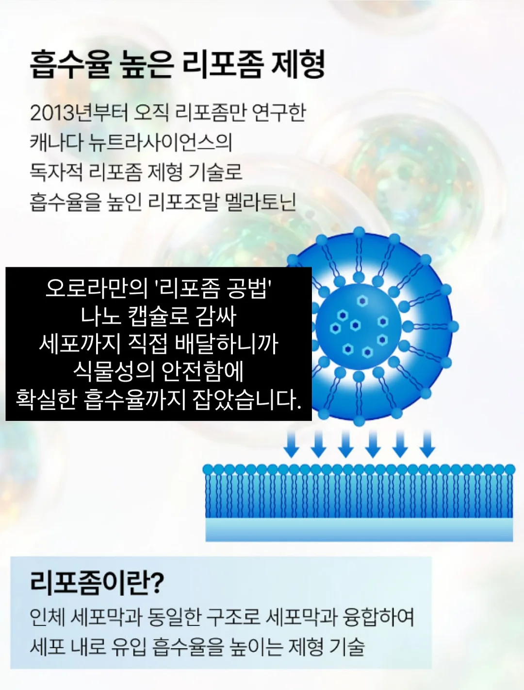 NFC 키링 11