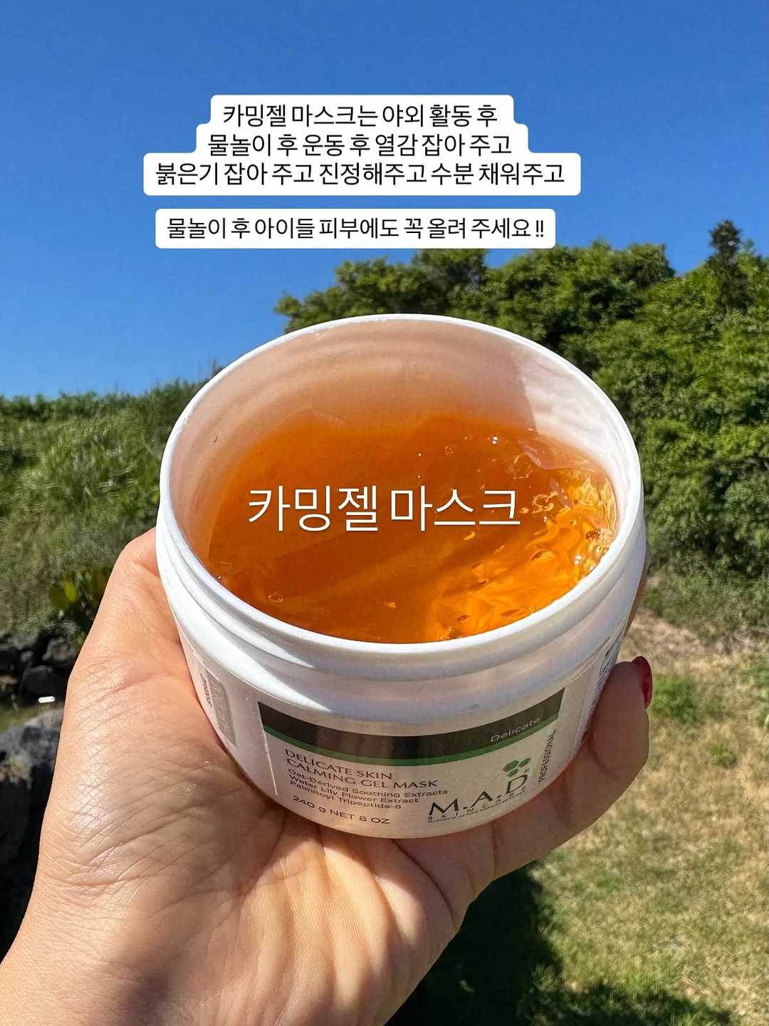프리 아니메디아 2018 잡지 1