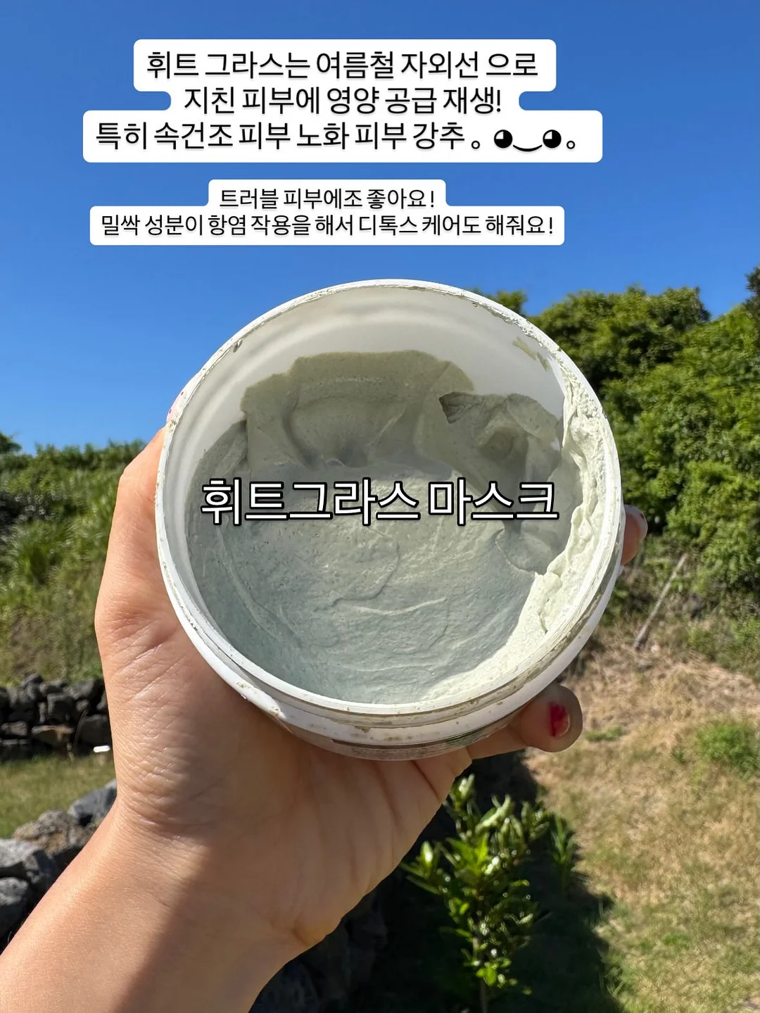 프리 아니메디아 2018 잡지 3