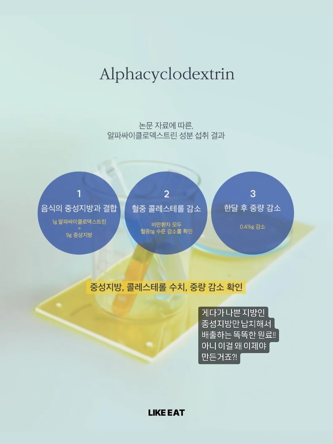 디즈니 크루즈 11