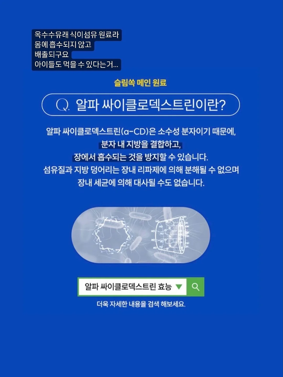 디즈니 크루즈 10