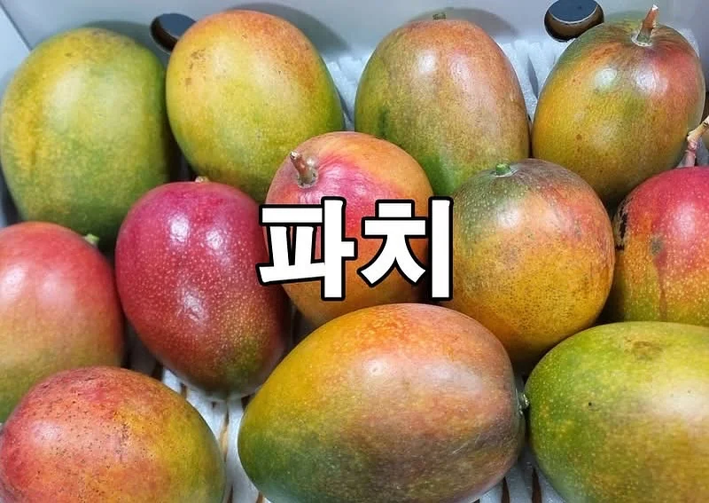 게으르게 살지만 부자는 되고싶어