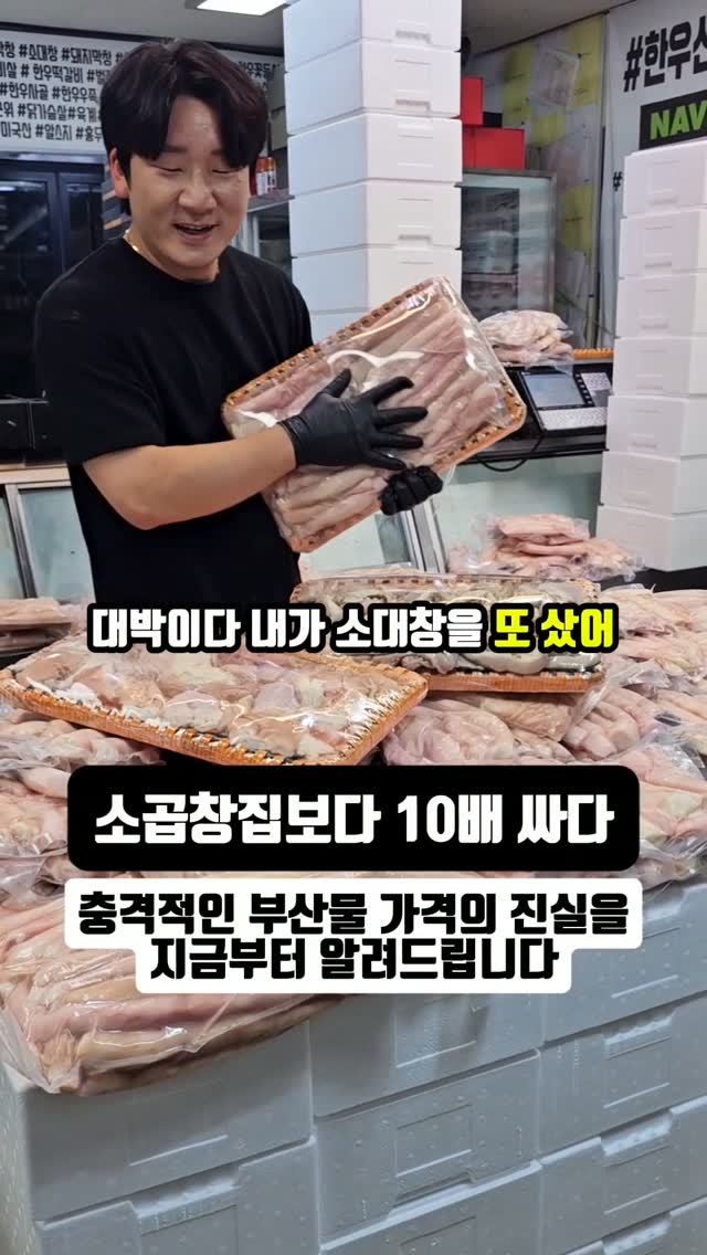 망고망고 튤립 미니다발