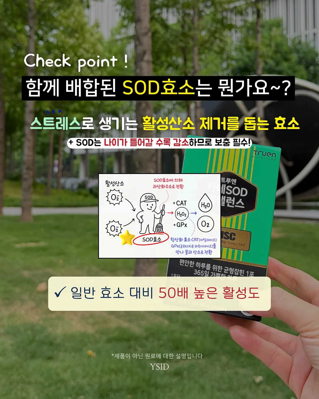 미미 모델 실습 5