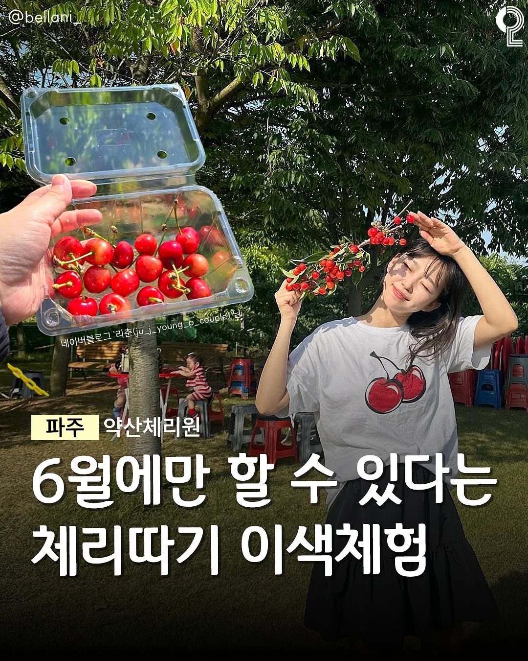 디세인트 여름신상 1