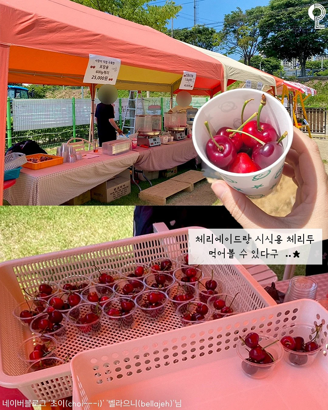 디세인트 여름신상 4