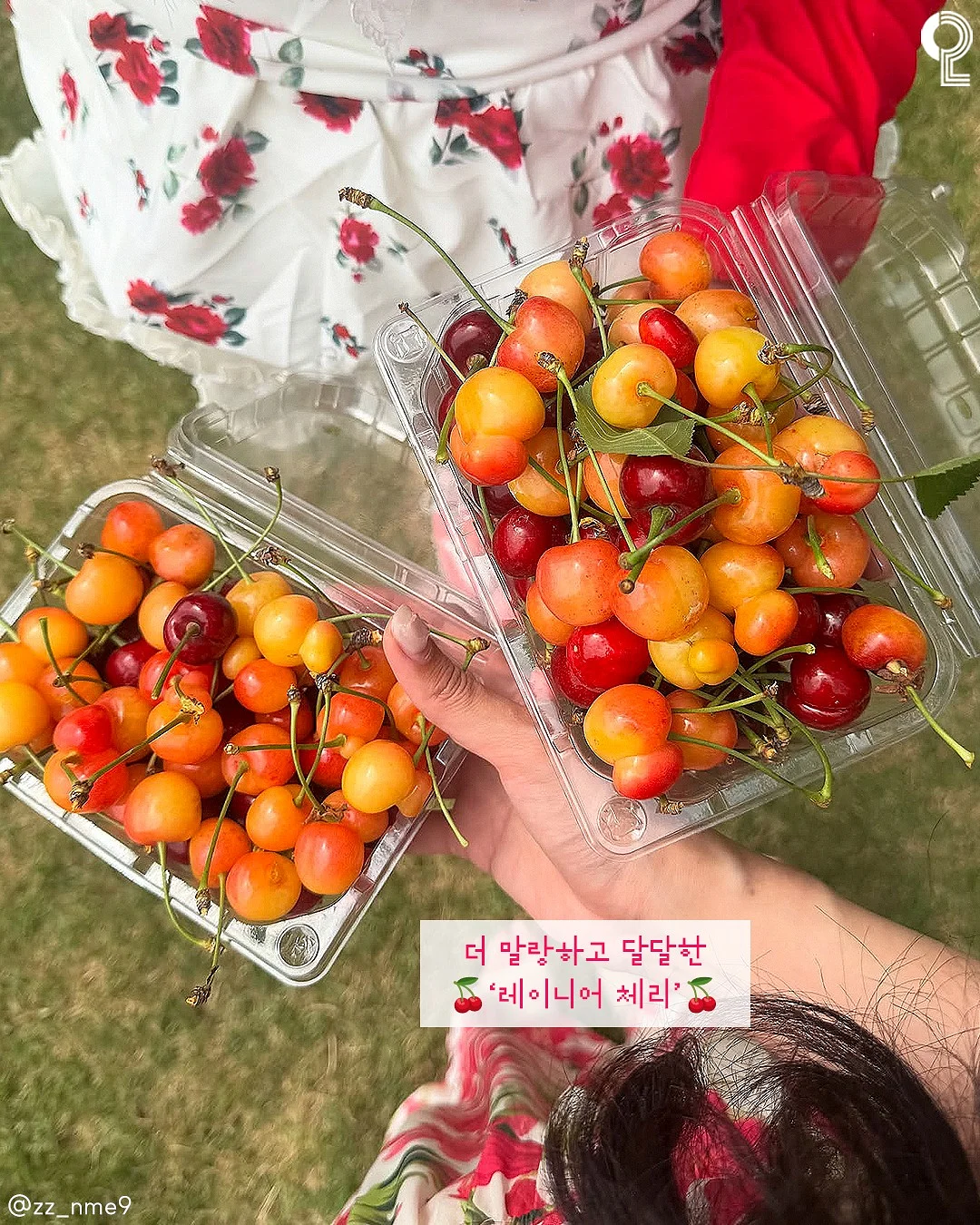 디세인트 여름신상 5