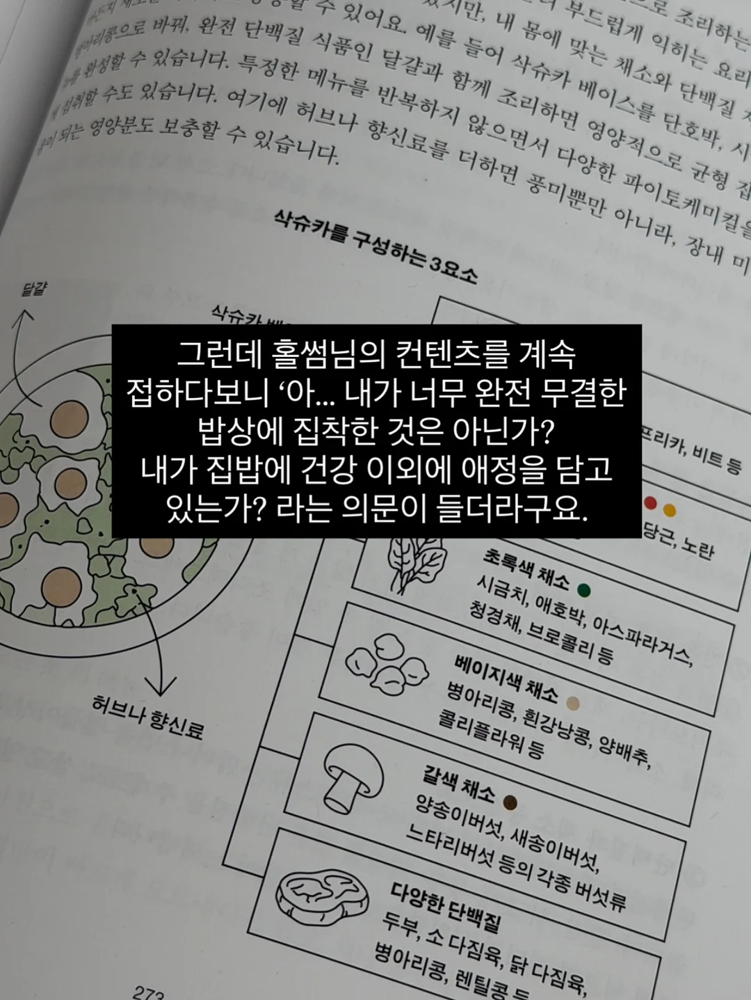 카사바칩 4