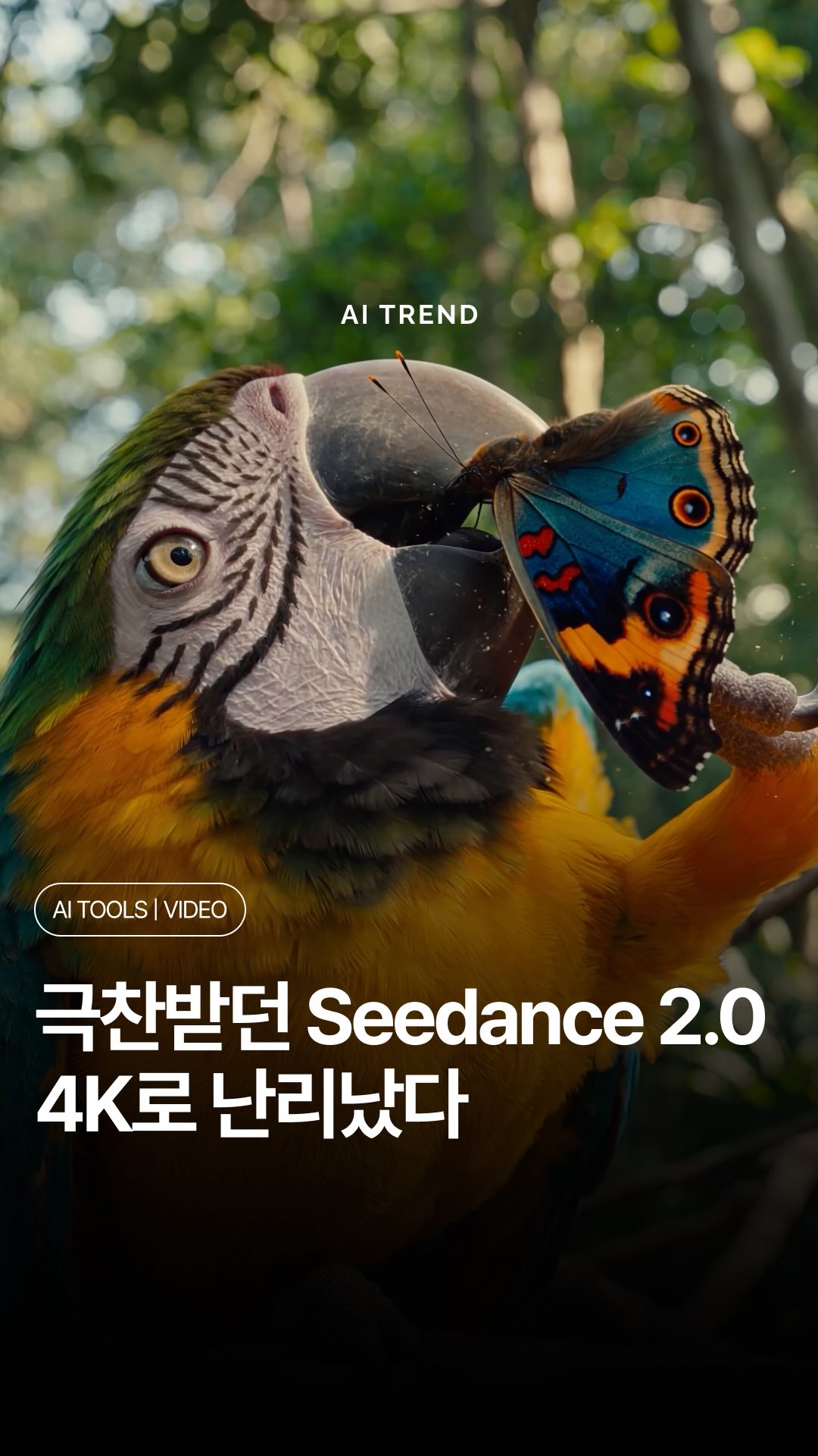 포토방석