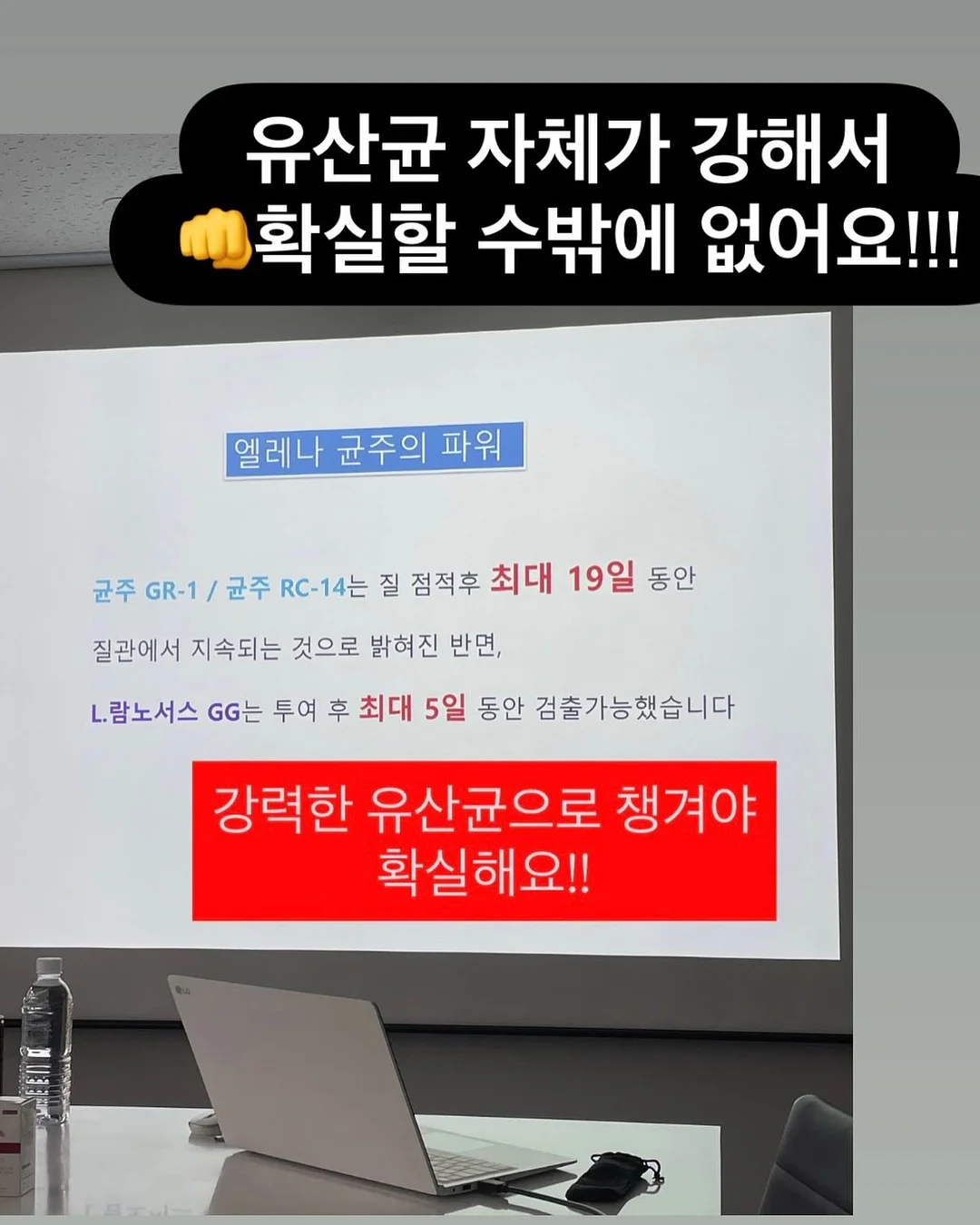 폴로 랄프로렌 그레이컬러 포니로고 외플 맨투맨 2