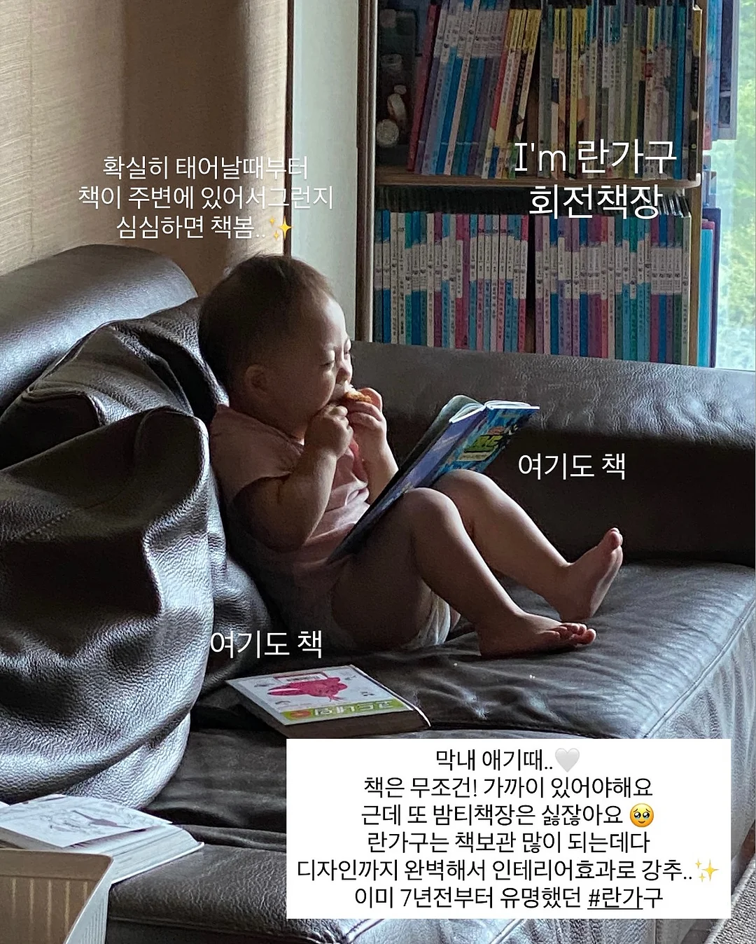 강아지 아이스팩 조끼 7