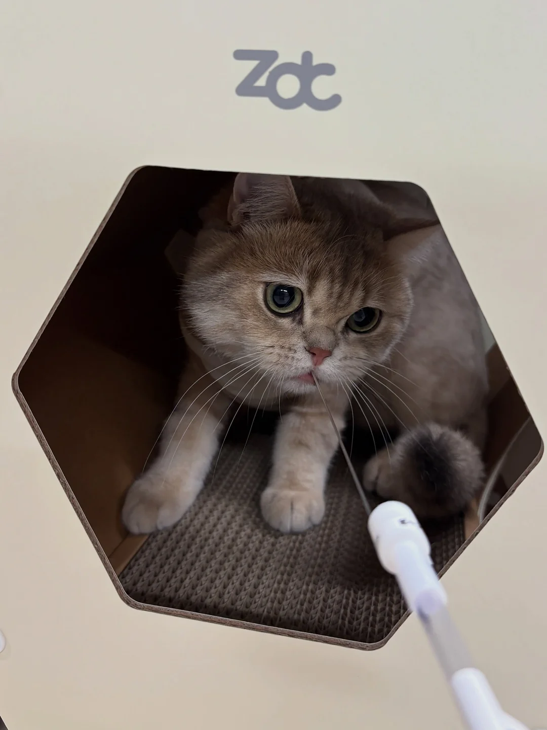 우산 가방 고정대 2