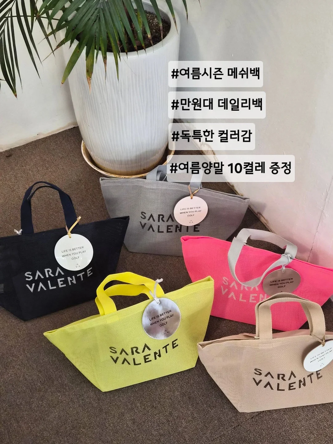 데이미유 세트 1