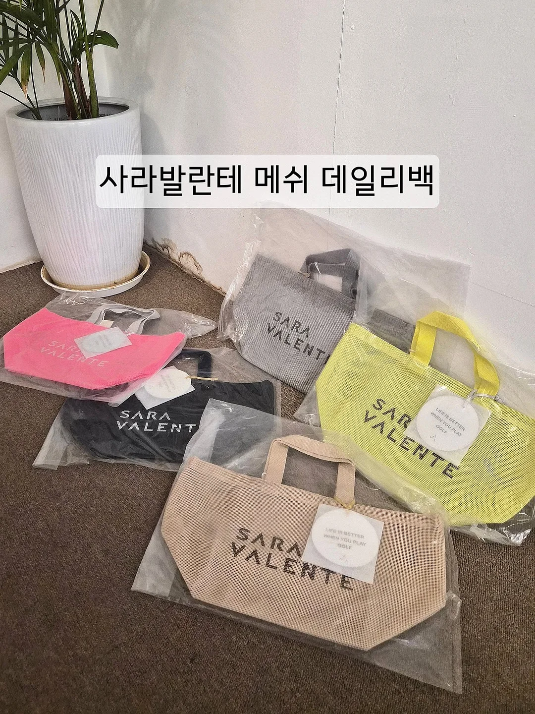 데이미유 세트 2