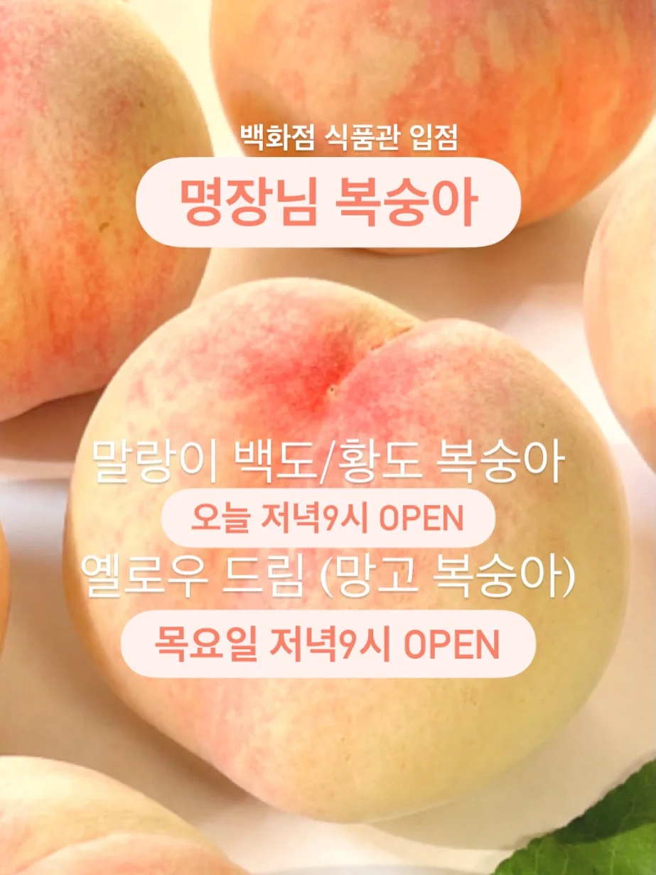 서울 입성 4x4 사이클 1