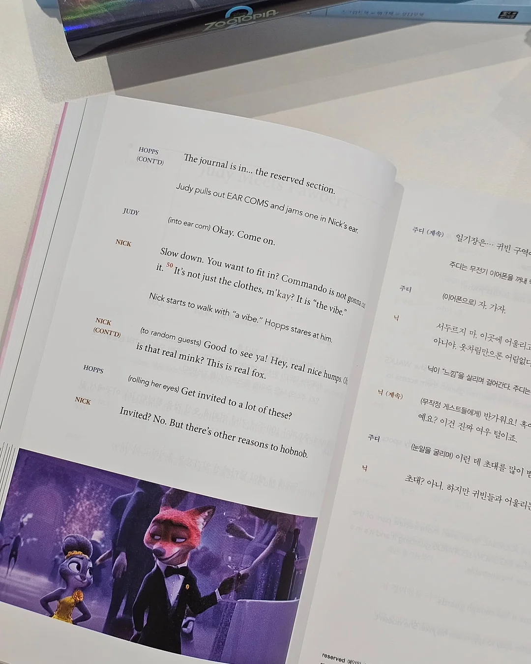 다람쥐 블록 11