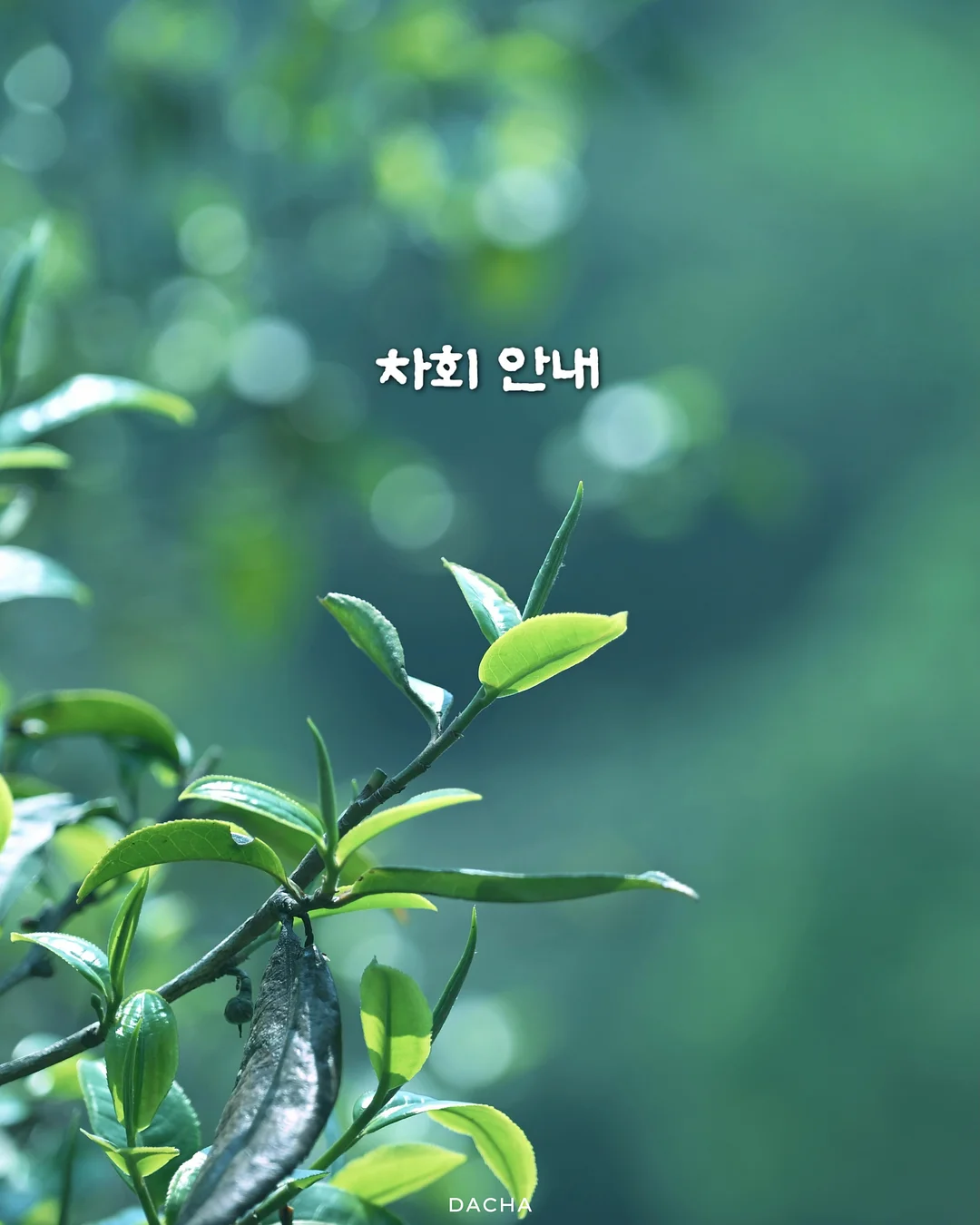 우주 펠트보드 1