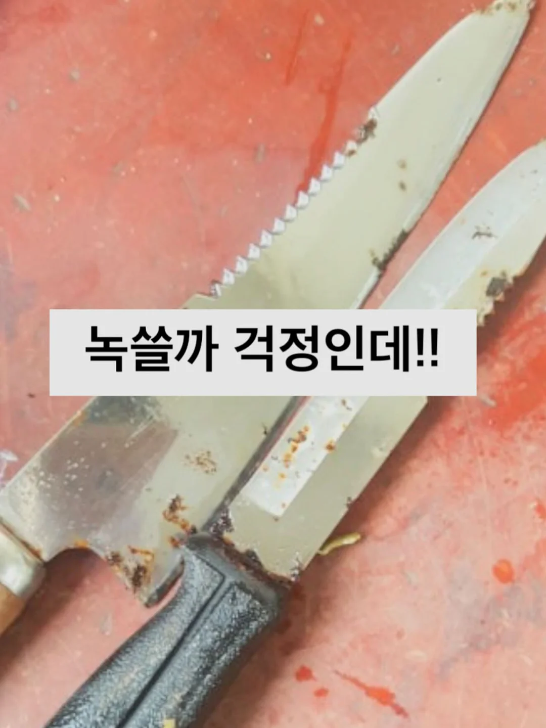 독거니 진국시리즈 곰탕 & 국밥 12