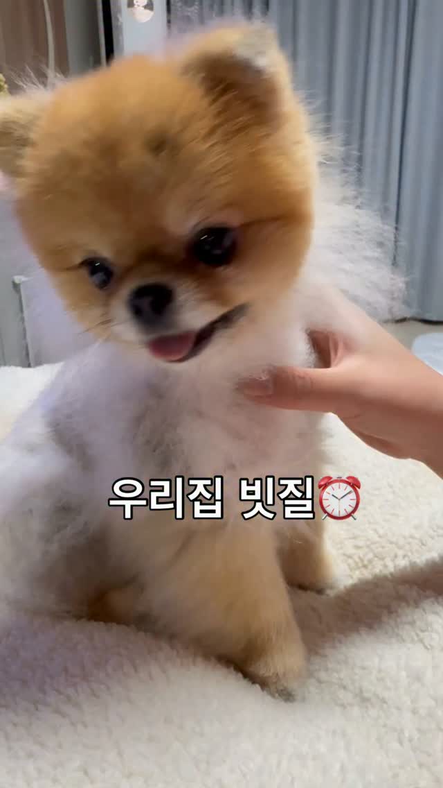 불교와 친해지는 사찰의 상징체계