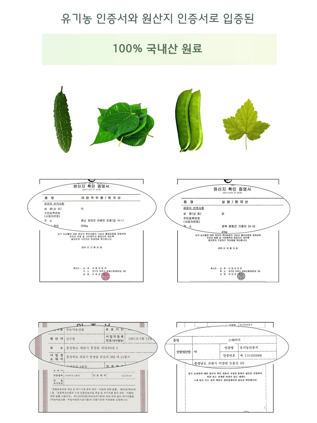 마르카토 안경 & 선글라스 10