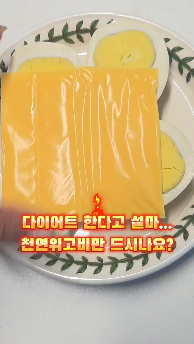세이프라이프 차량용 소화기