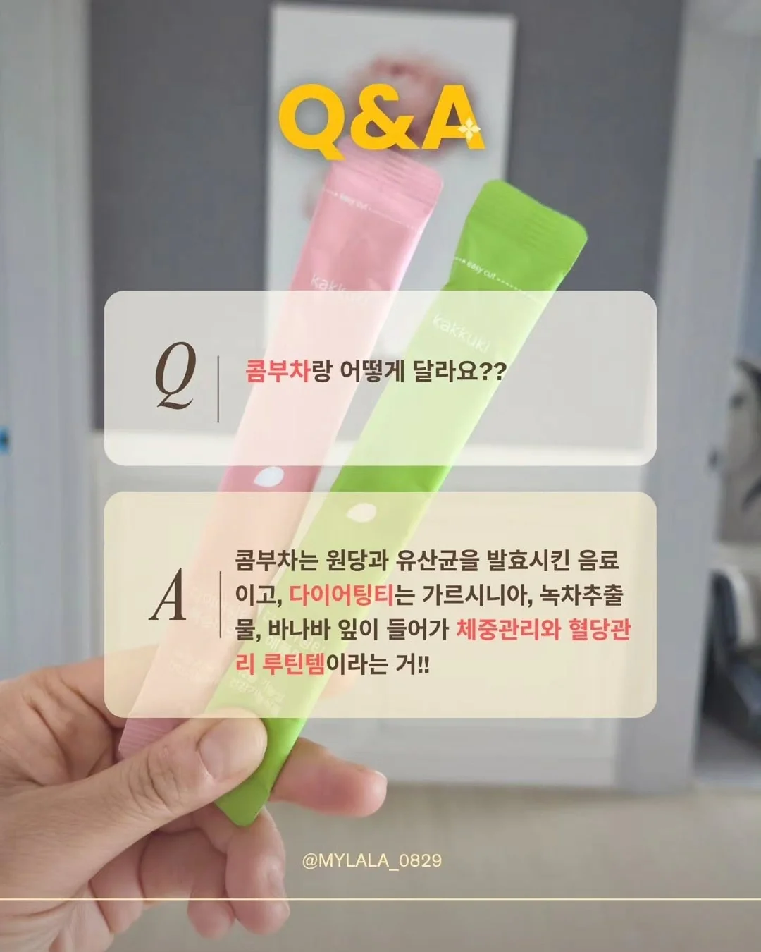 린넨 도그 긴팔티 4