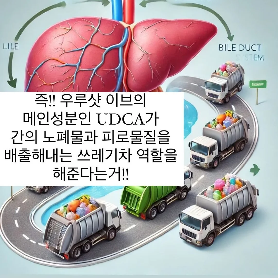 어버이날 케이크 3