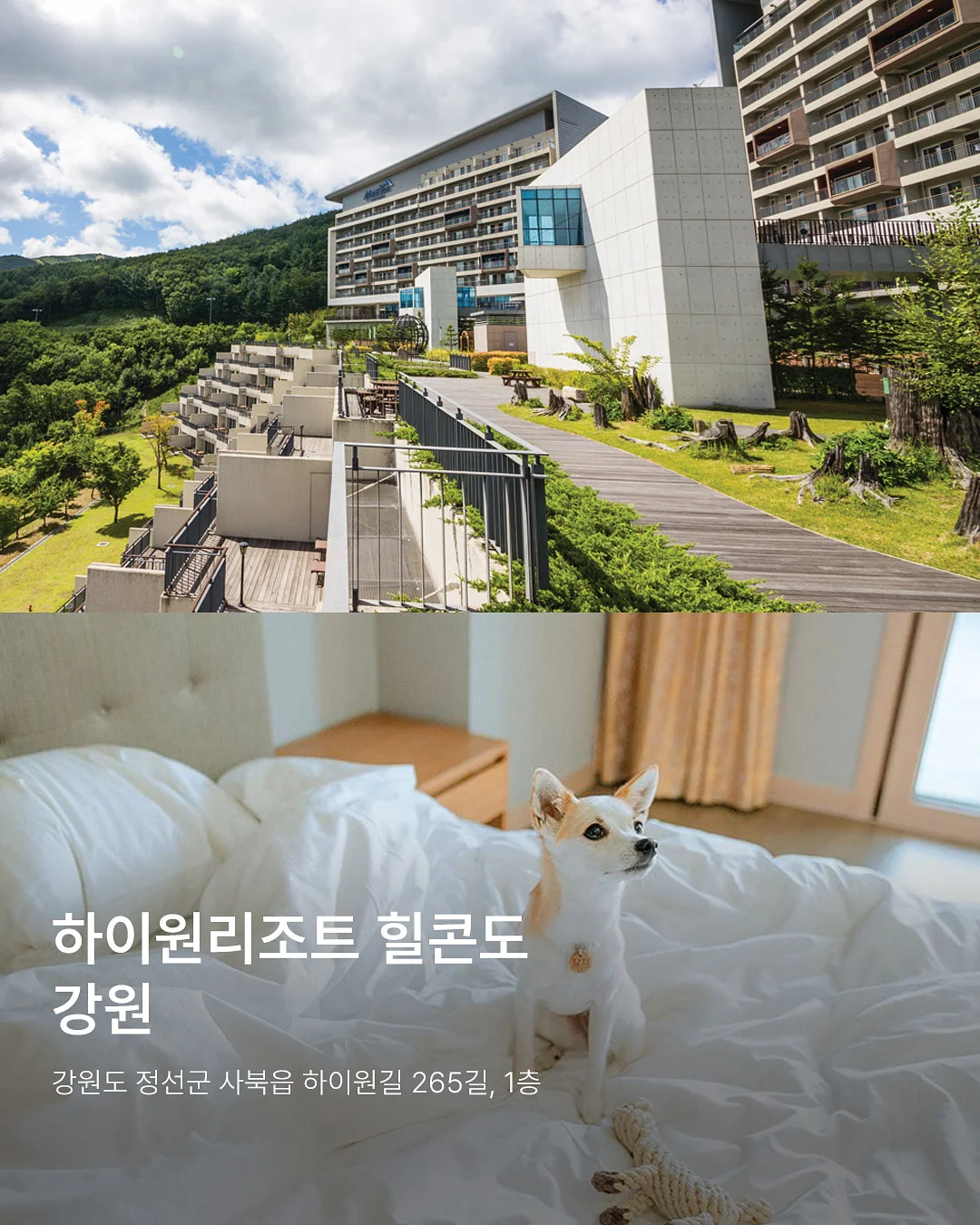 케라논 연고 9