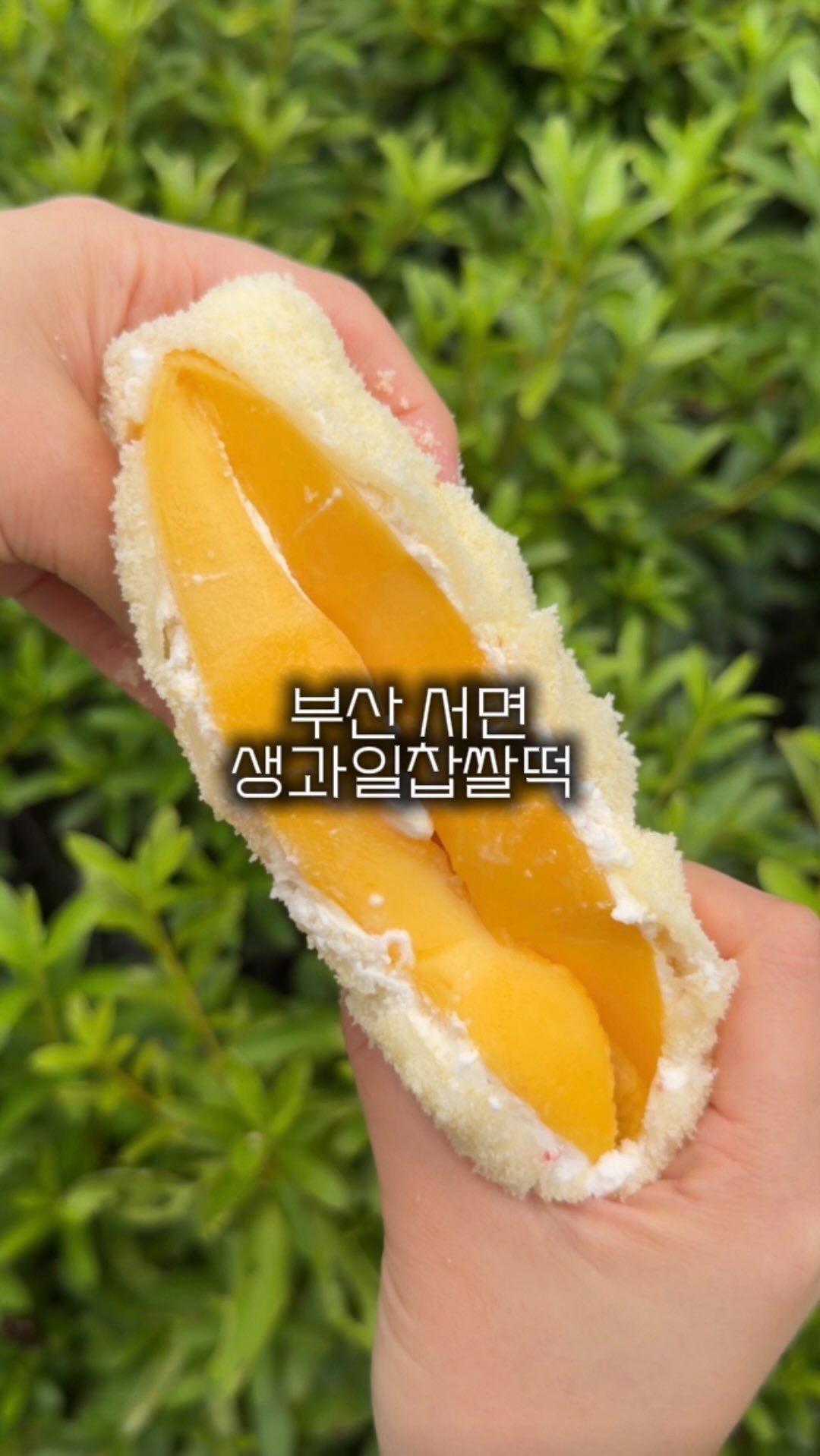 살안타템 셔츠
