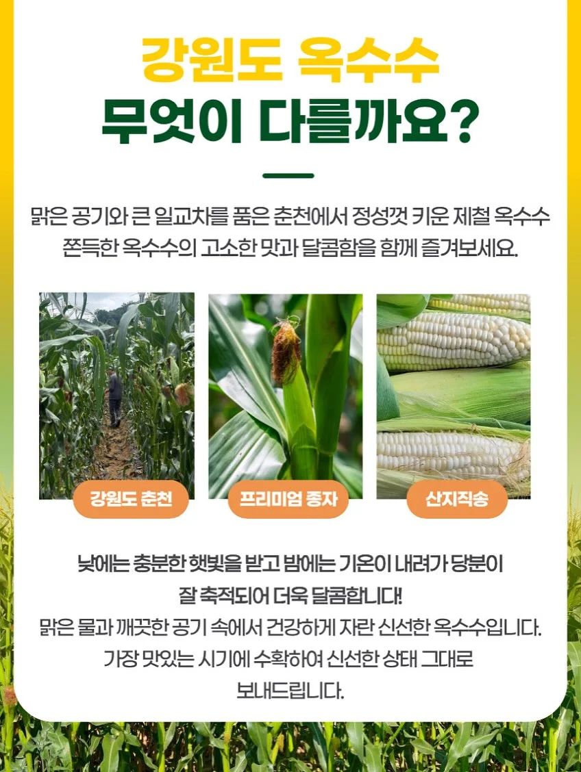 에일라 롱 원피스 11