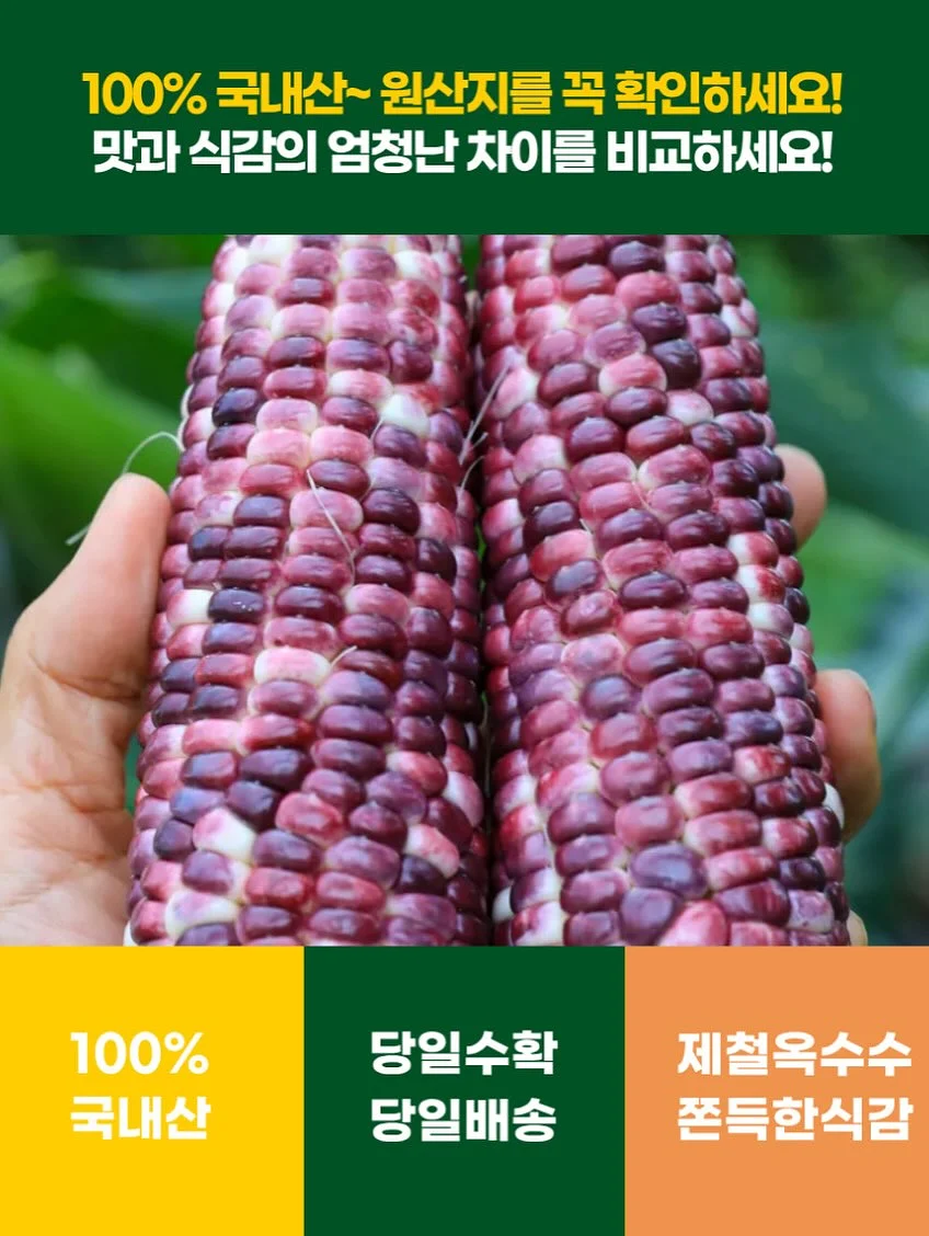 에일라 롱 원피스 12