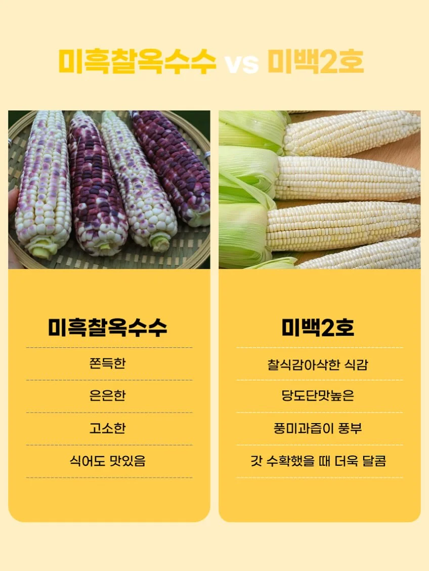 에일라 롱 원피스 13