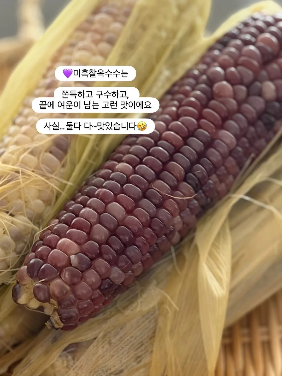 에일라 롱 원피스 7