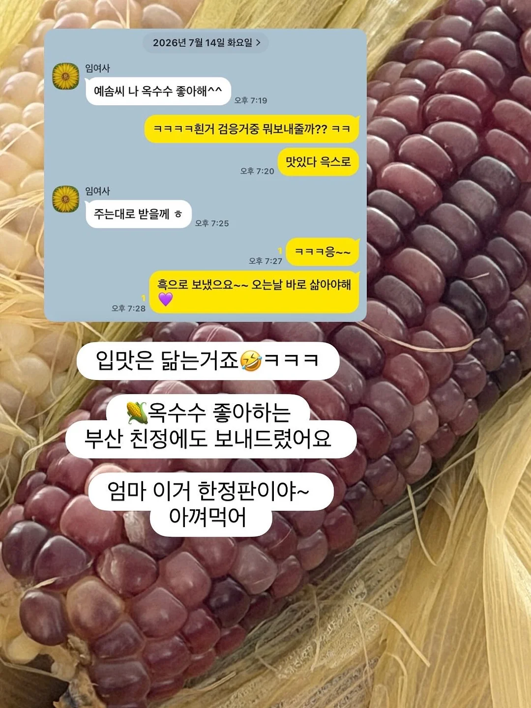 에일라 롱 원피스 8