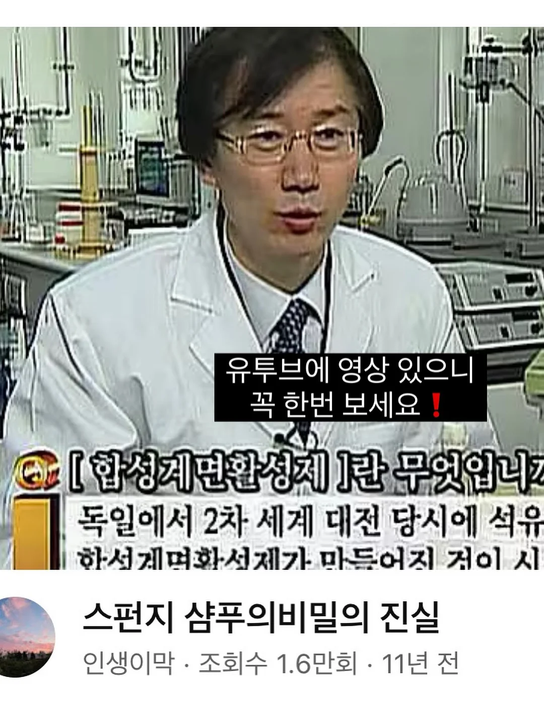 꿀참외 5kg 5