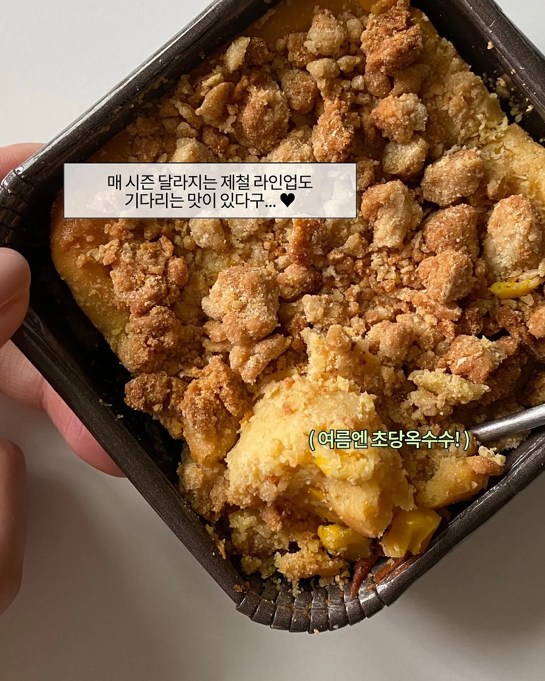 바닐라코 신규 립 3종 8