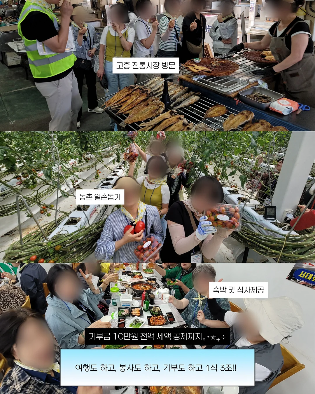 코코랜드 세계 명작 7