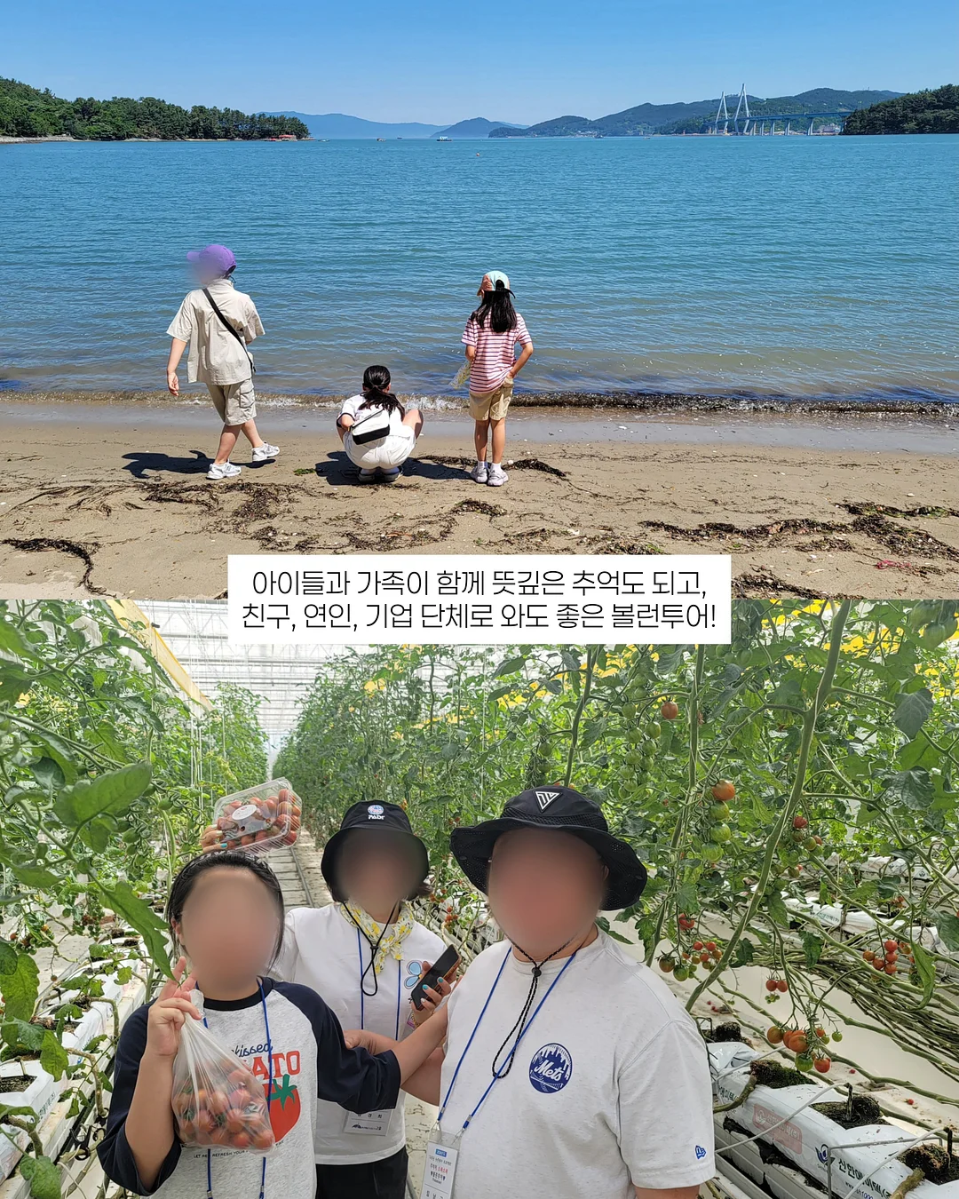 코코랜드 세계 명작 10